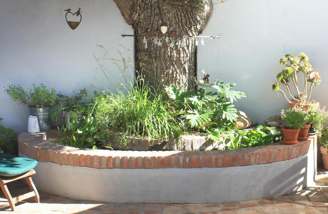 Himmelblau Boutique Bed And Breakfast Kapsztad Zewnętrze zdjęcie